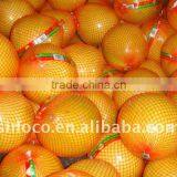 Fresh Sweet Pomelos (8/9/10/11/12)