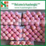 Chinese Fuji Apple/fresh Apple Fruit Specification/apple Price thumbnail-1