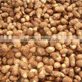 Taro Buyers in the Middle East thumbnail-3