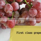 First grade red grapes
