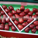 198# Huaniu Apple thumbnail-5