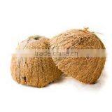 High Quaity Cheap Natural Coconut Shell thumbnail-1