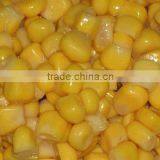 Sweet Corn thumbnail-1