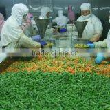 Frozen Mixed Vegetables thumbnail-3
