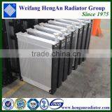 Cheap New Radiators With Hoses & Covers thumbnail-6