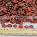 Edible Red Water Melon Seeds Big Size thumbnail-2