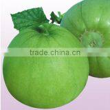 Sweet melon Seed For Sale Green Tender