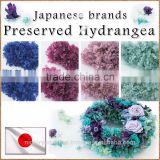 Pretty preserved hydrangea flower artificial for flower arrangement , arrangement materials also available