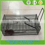 Mouse Trap Cage