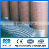 Bird Cage Galvanized Welded Wire Mesh