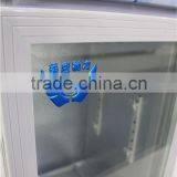 Little Vertical Display-seriesEngineering Freezer /Freezer of Beer Chinese Seafood Restaurant Freezer/Import and Export o thumbnail-3