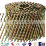 Twist Coil Nail Umbrella Head Roofing Coil Nails thumbnail-1