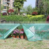 Hobby PE Greenhouse GH303A thumbnail-1
