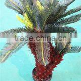 Home Garden Decorative 30cm to 200cm Height Artificial Bonsai Cycas EST11 2703 thumbnail-5