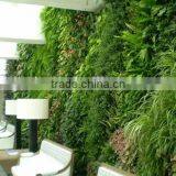 Home Garden Decoration 1sqm Artificial Green Plant Wall EPW08 thumbnail-1