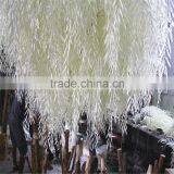 SJ20171392 Factory Ornamental Foliage Japanese Willow Tree thumbnail-3