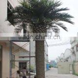 GNW APM015 Decorative Artificial Royal Palm Tree 5m High for Outdoor Landscape Decoration thumbnail-2