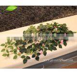 GNW FLV21 Artificial Hanging Rose Flowers Vine Used on the Wall Decoration thumbnail-2