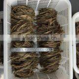 2016New Season Hot Sales Salted Anchovy Fillet thumbnail-2