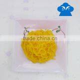 Wholesale Shirataki Noodles Italian Pasta Brands Carrot Konjac Noodles thumbnail-2