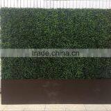 Dongguan LZY Outdoor Artificial Boxwood Hedge Wall thumbnail-5