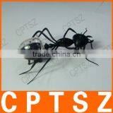 Solar Ant Toy thumbnail-1