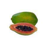 Red Lady Papaya Seeds 709 thumbnail-1