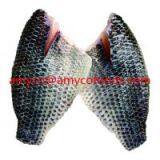 Tilapia Fillet thumbnail-3