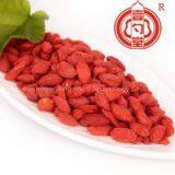 Health Food Ningxia Dried Goji Berry China Goji Berries thumbnail-3