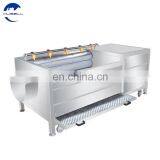 Potato Processing Machinery thumbnail-5