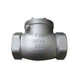 Thread Swing Check Valve Manufacturer