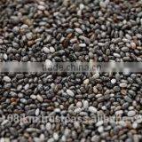 PREMIUM INDIAN CHIA SEED thumbnail-1