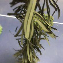 Wholesale High Quality 70g Aerial Photo Camouflage Net Shade Plastic Car Drop Hunting Cover For Military Photography Camp thumbnail-4