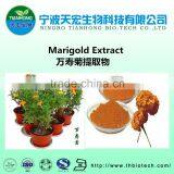 Professional Manufacturer of Marigold Extract Powder thumbnail-1