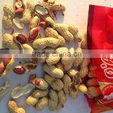 Canned Peanuts ( Roasted & Salted Peanuts) Low Price 17g 20g 30g thumbnail-1