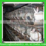 Used Rabbit Cages Designs For Sale Farming House Design