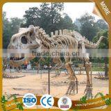 Stegosaurus Dinosaur Fossils for Sales thumbnail-1