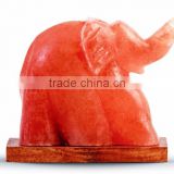 Elephant Shape, HImalayan Salt Lamps