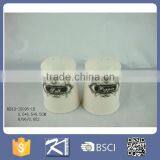 Ceramic Stoneware Kitchenware Salt and Pepper Holder thumbnail-2