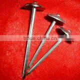Botswana Market Galvanized Roofing Nail thumbnail-5