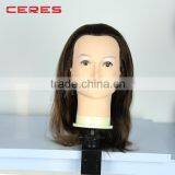 Wholesale Stock 100% Human Hair Mannequin Head for School thumbnail-5