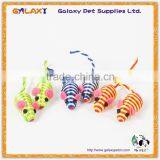 CT8645 Cat's Favourite Mouse and Ball Catnip Cute Cat Toys thumbnail-1