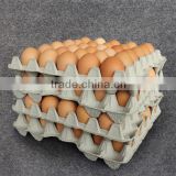 Pulp Egg Tray for Packaging AA Size