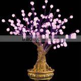 Bonsai Pearl Blossom Tree