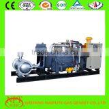 10-500kW Gas Generator---- Natural Gas /biogas/biomass Gas/LPG/Syngas/woodchips Gas Generator thumbnail-1
