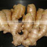 Fresh Ginger Good Chinese Spicy thumbnail-1