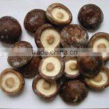 Shiitake Mushroom thumbnail-2