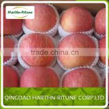 wholesale apple fruit price