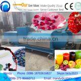 Newly Design and Good Price Fruit Orange and Apple Juice Pressing Machine thumbnail-6