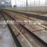 Automatic Layer Chicken Cages, Poultry Farm Cage for 120 Chickens thumbnail-1